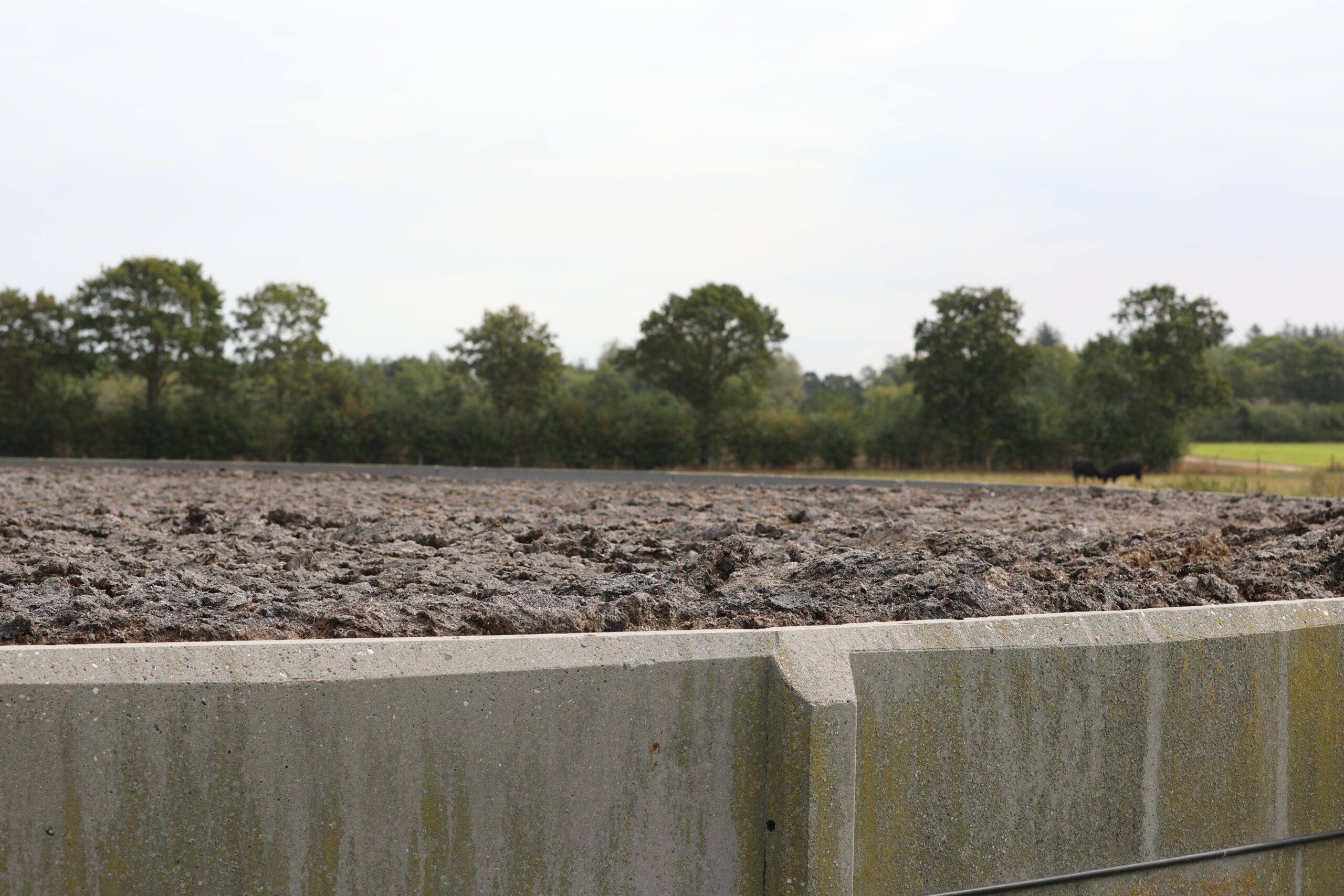 Biogas: Der er penge i lortet