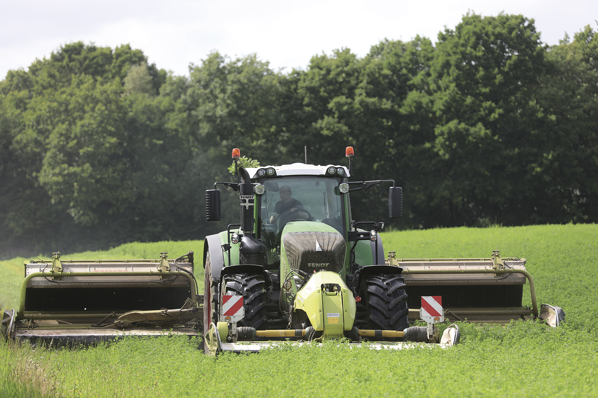 Her fungerer lucerne super uden vanding