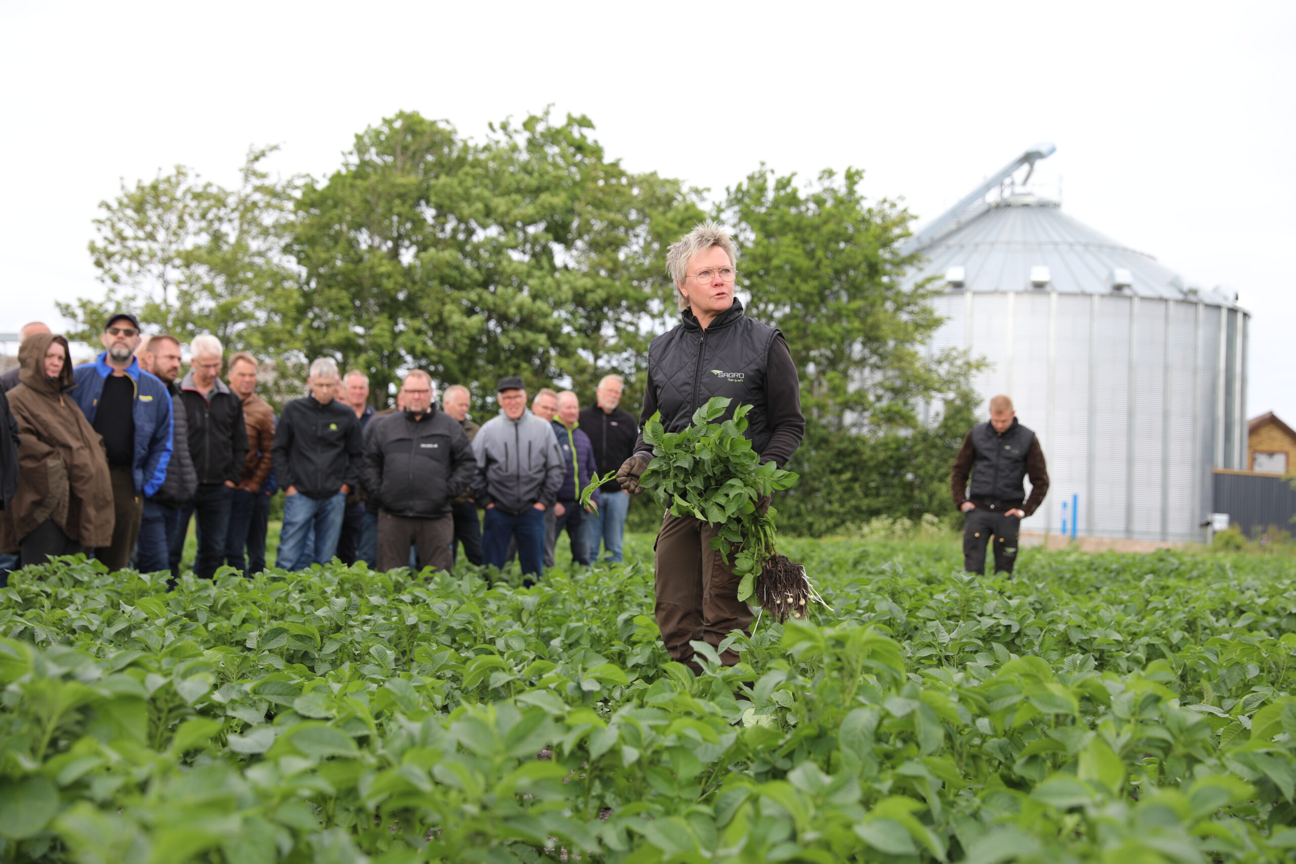 Velbesøgt markvandring hos SN Agro