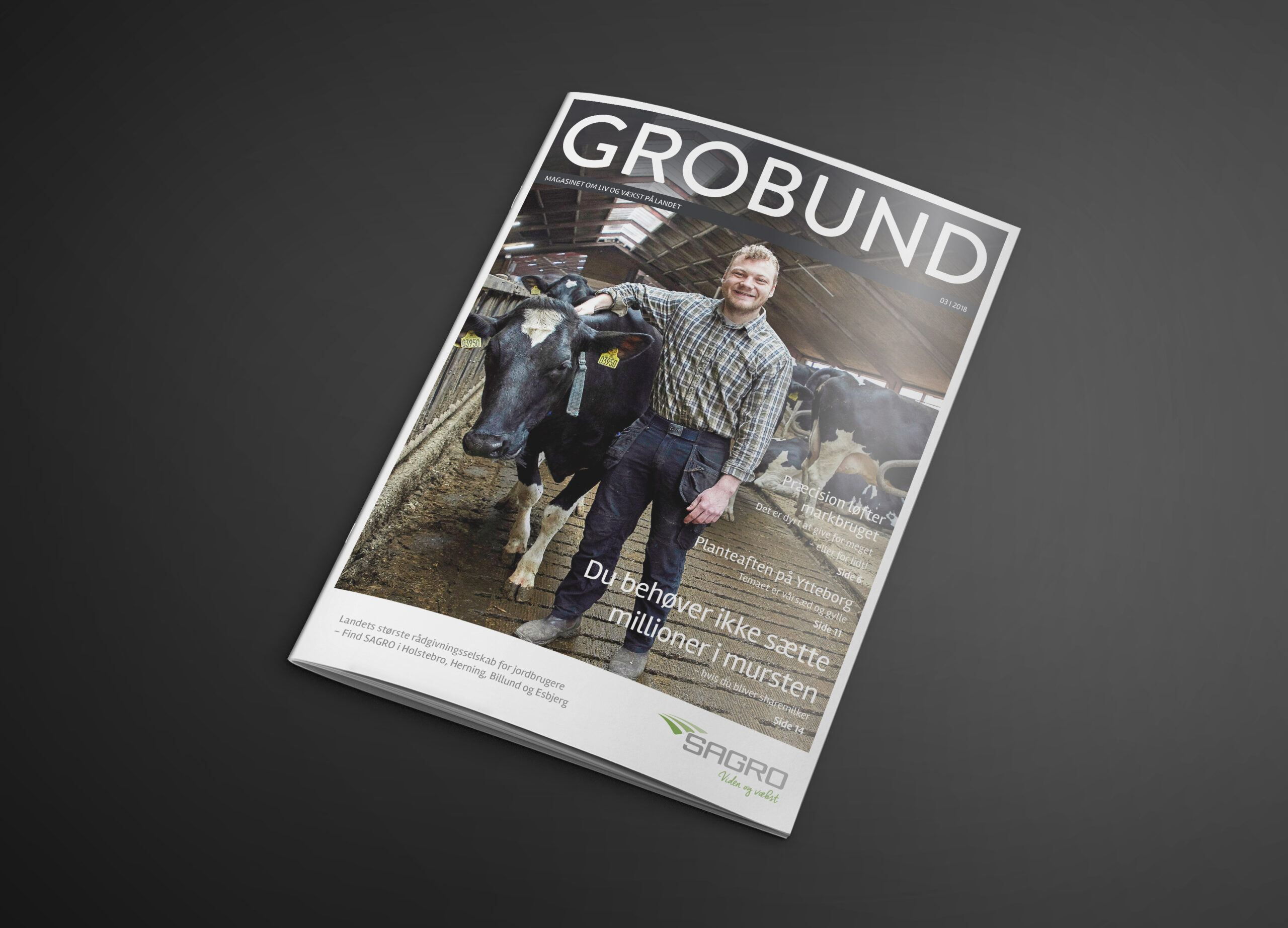 Grobunds juniudgave på vej