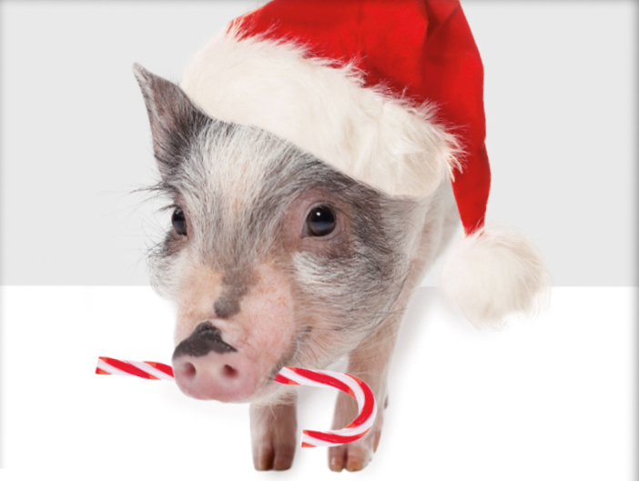 Kontakt til SAGRO i juleferien