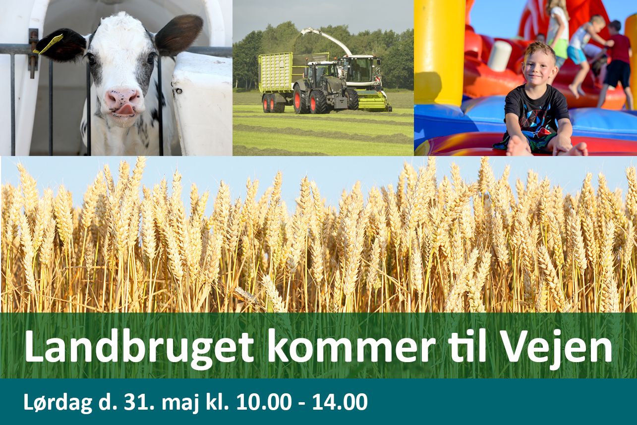“Det her arrangement er simpelthen så vigtigt”