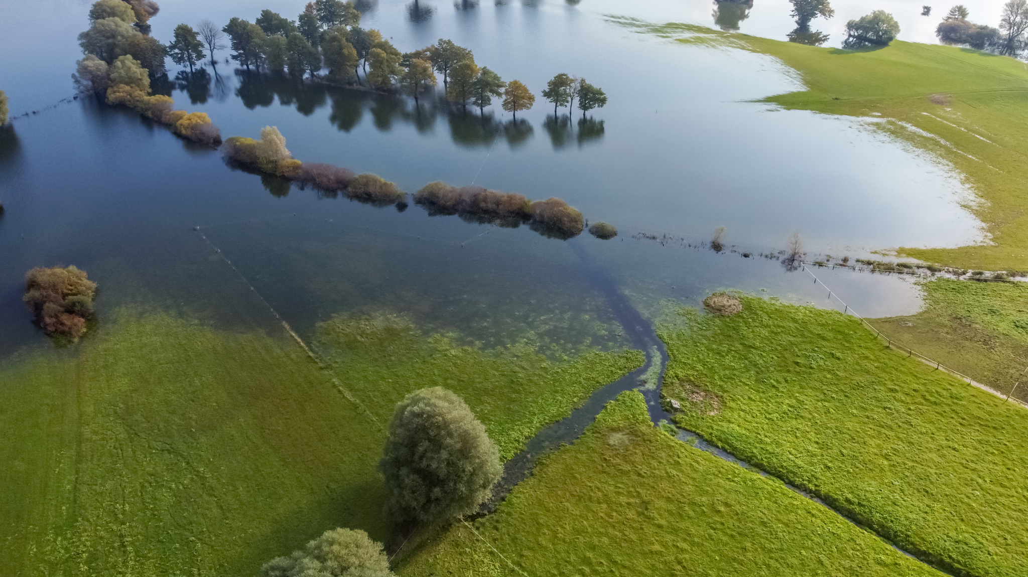 Kan vi leve op til kravene om udtagning af lavbundsjorde?