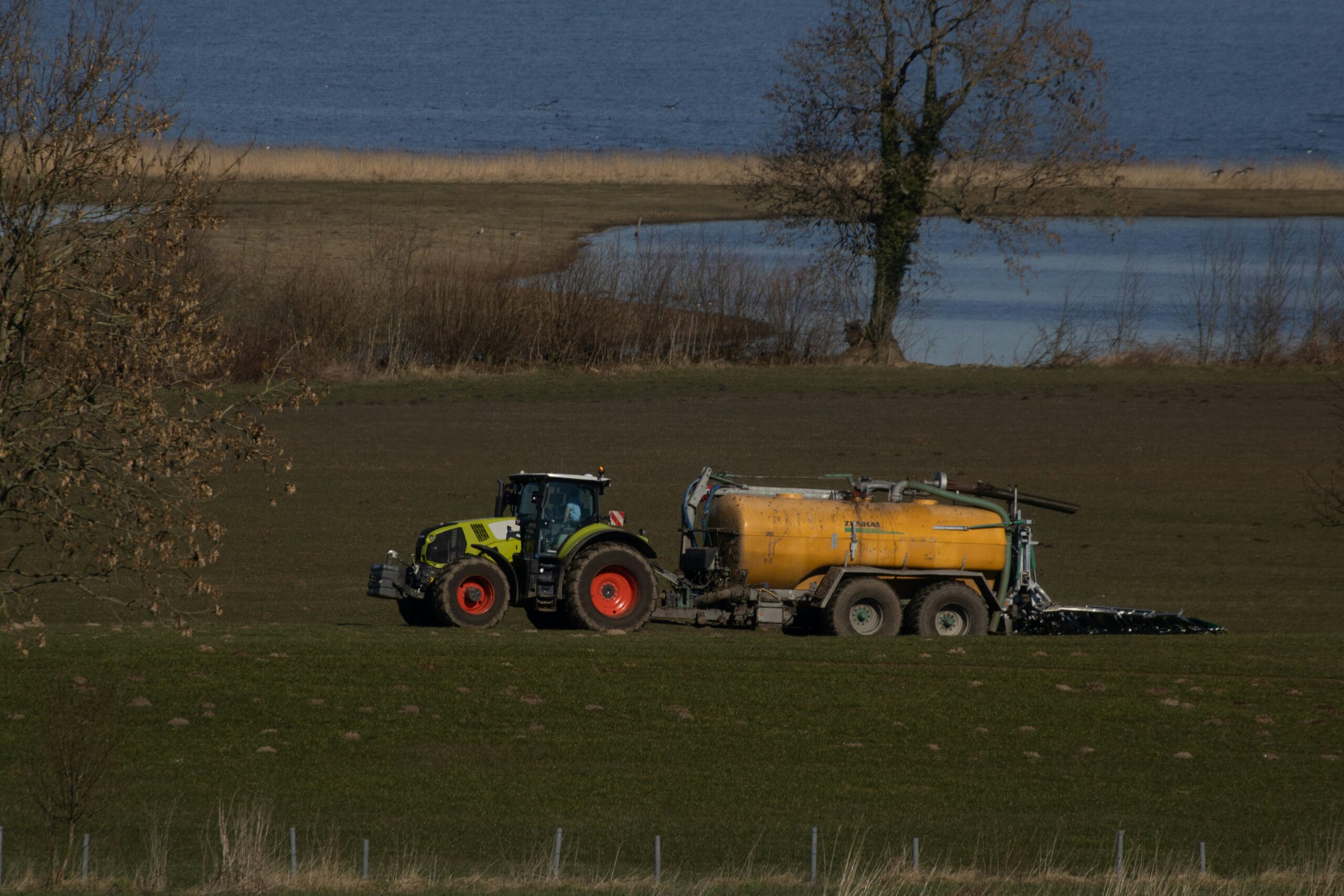 Planterådgiver: Læg planer for traktosebekæmpelsen nu