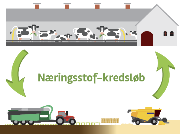 Målret gødskningen og få bedre grovfoder