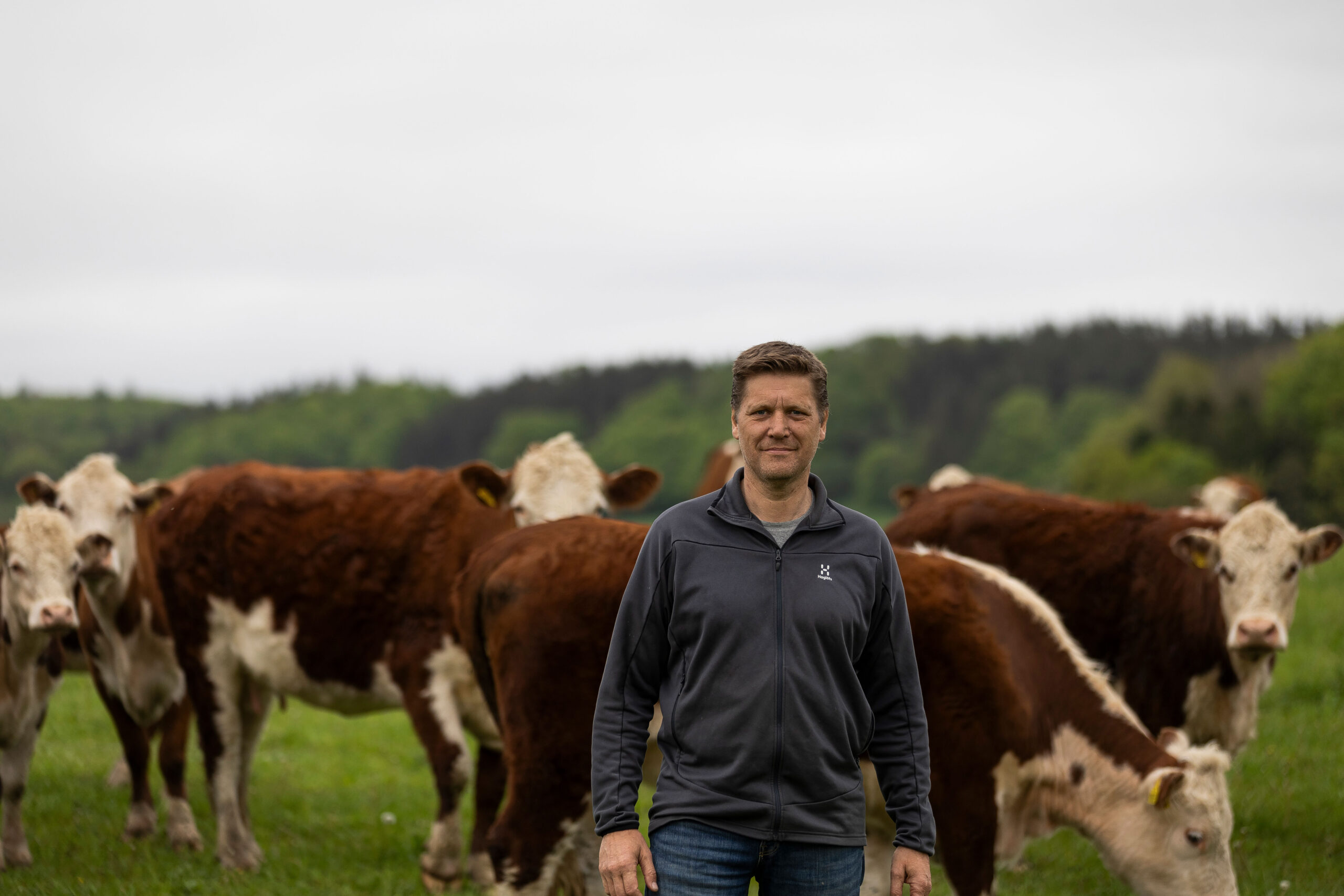 Kvægbrug med naturen som aktiv partner