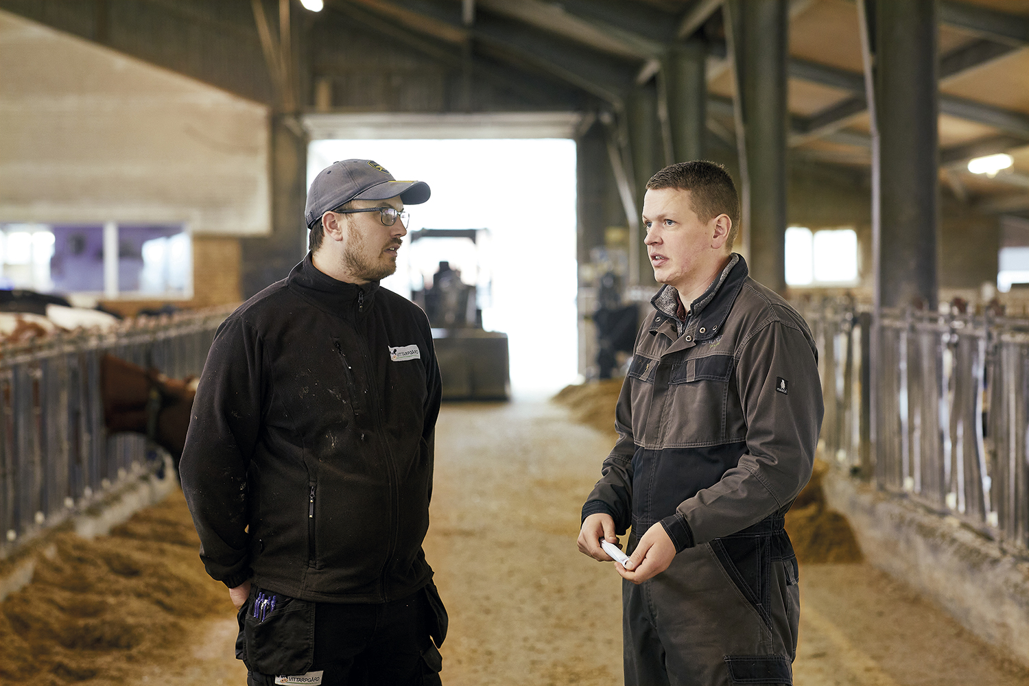 Ned i protein uden problemer